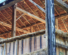 Addison-Hall Horse Breeding Farm, Life Left Behind To Demolish